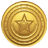 TeamRaiser Achievement Badge